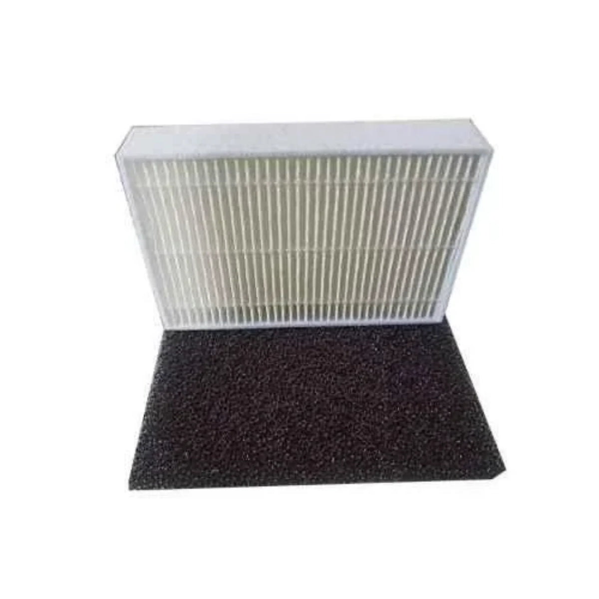 OxyMed HEPA Replacement Filter