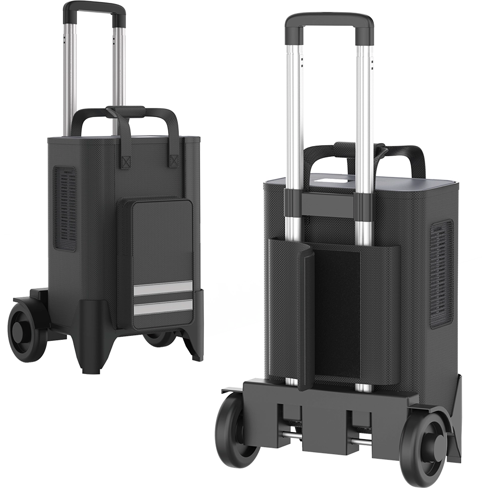 Oxymed P2 Hybrid Portable Oxygen Concentrator